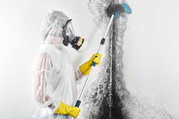 Best Residential Mold Inspection & Testing  in Peachtree City, GA