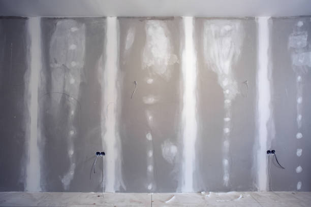 Best Post-Construction Mold Inspection  in Peachtree City, GA